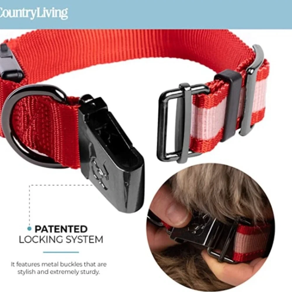 Country Living by Silver Paw Light Up Dog Collars, LED USB Rechargeable